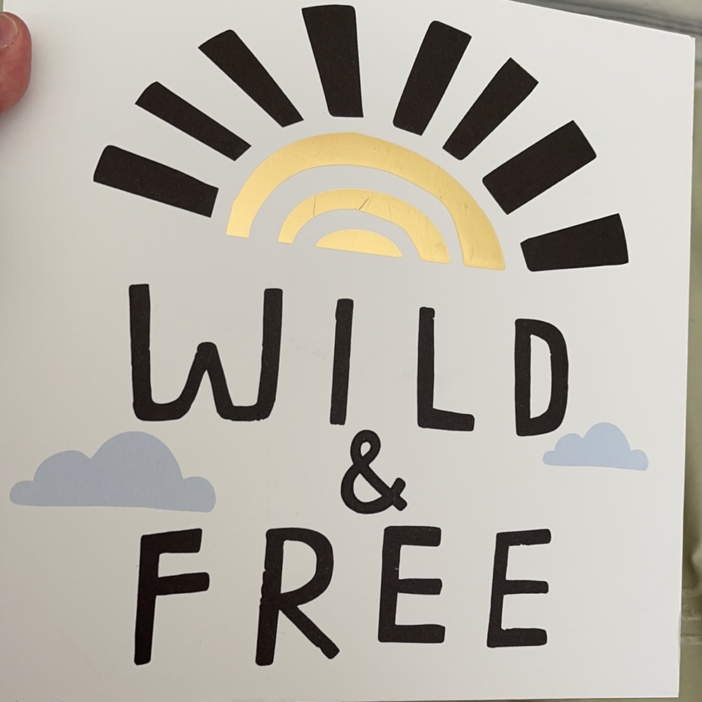 Wild & Free Moving Up Set- Shelves/Curtain/Plaque - Picture 4 of 12